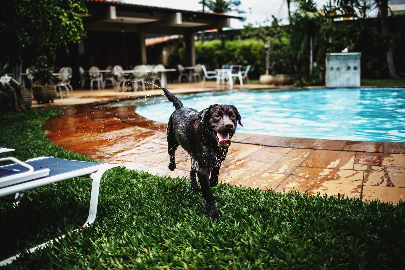 How to Choose a Vinyl Pool Liner